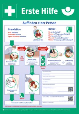 moedel Sicherheits-Aushang „Erste Hilfe“, gemäß DGUV 204-001, L 590 x B 410 mm, PVC, mehrfarbig