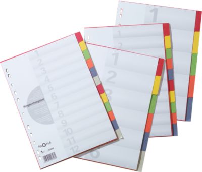 PAGNA Kartonregister mit Deckblatt, zur freien Verwendung, 5 Blätter, 5-farbig