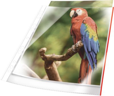 Prospekthülle Durable, mit rotem Rand, DIN A4, Universallochung, dokumentenecht, 25 Stück, 80 mµ, glasklar