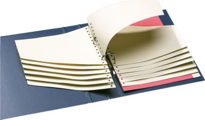 Schäfer Shop Select Staffel-Trennblätter, 100 Stück