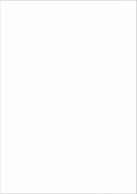 Schäfer Shop Select Universal-Etiketten, 210,0 x 297,0 mm = A4, Permanentkleber, 100 Stück