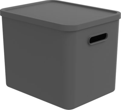 Transportbox Rotho Albula, Volumen 27 l, stapelbar, mit abnehmbarem Deckel und Grifflöchern, L 370 x B 290 x H 295 mm, Recycling-Kunststoff, anthrazit