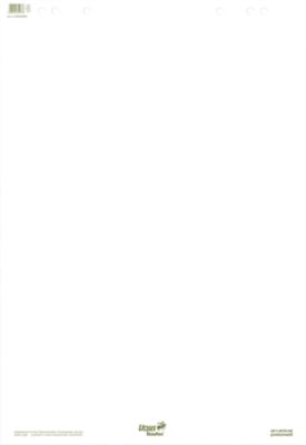 Ursus Green Flipchartblock, 5 Stk., blanko