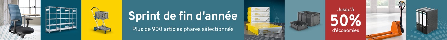 Sprint de fin d'année. Plus de 900 articles phares sélectionnés. Jusqu'à 50 pourcent d'économies