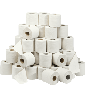  Toiletpapier, 2-laags, 250 vellen per rol, 64 rollen