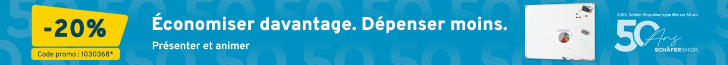 Pr&eacute;senter et animer 20 % de rabais pour vous