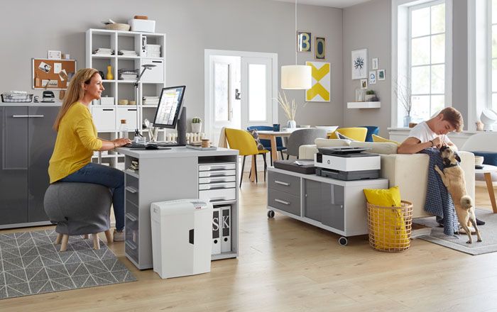  Vrouw werkt aan het bureau in de woonkamer terwijl haar zoon met de hond speelt.