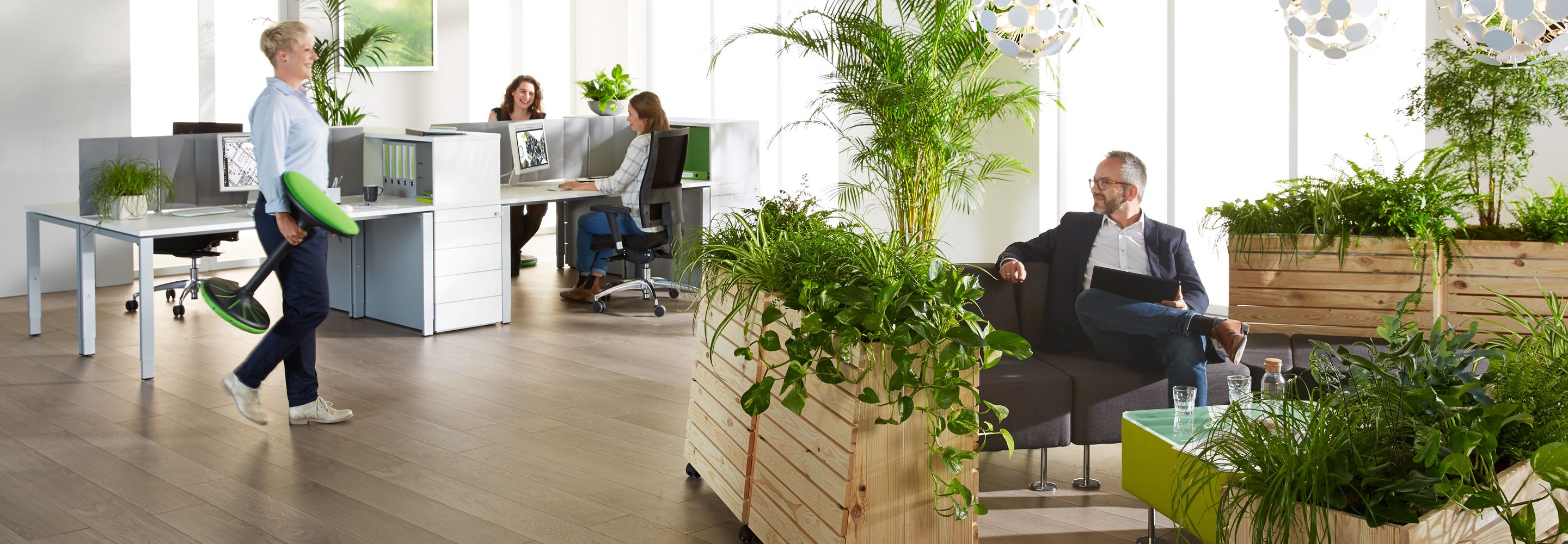 prins computer Auroch Groen op kantoor: 10 gemakkelijk te onderhouden kamerplanten