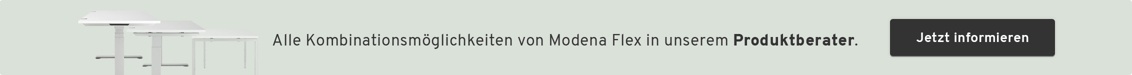 Modena Flex