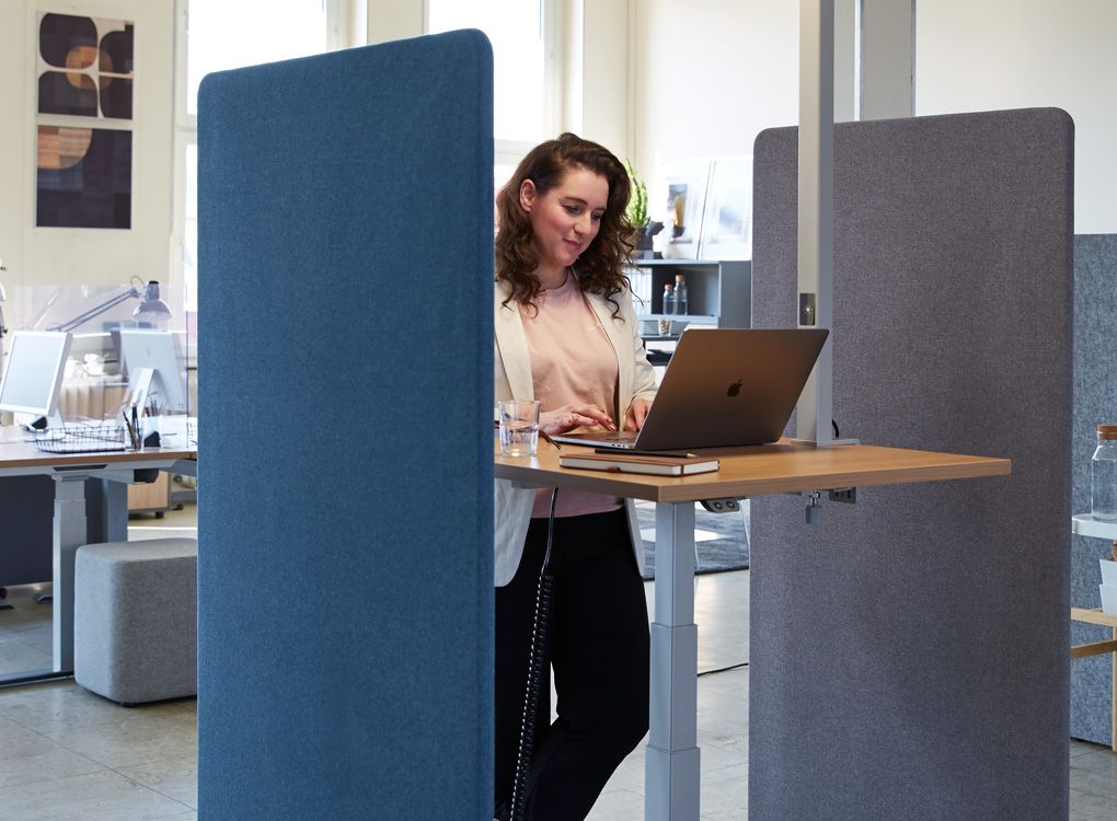 Konzentrierte Arbeit am höhenverstellbaren Schreibtisch mit Trennwänden für optimale Raumakustik.
