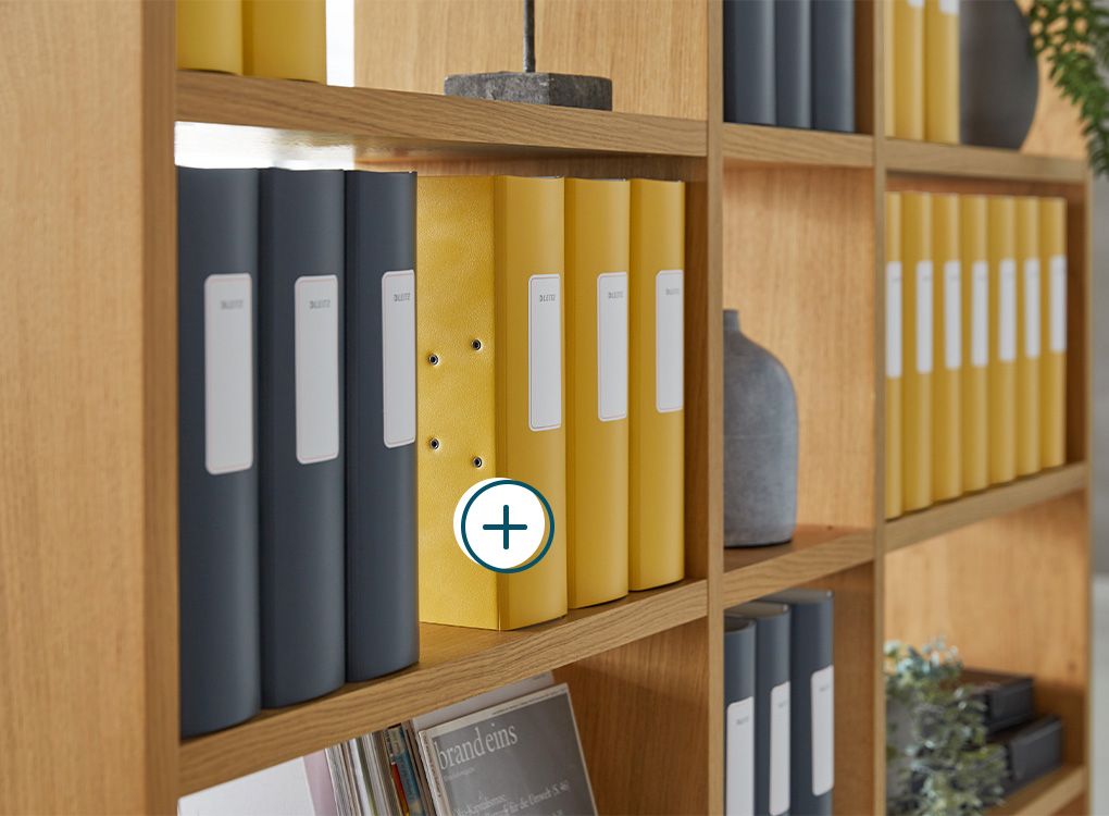 Aktenordner in einem aufgeräumten Büroregal