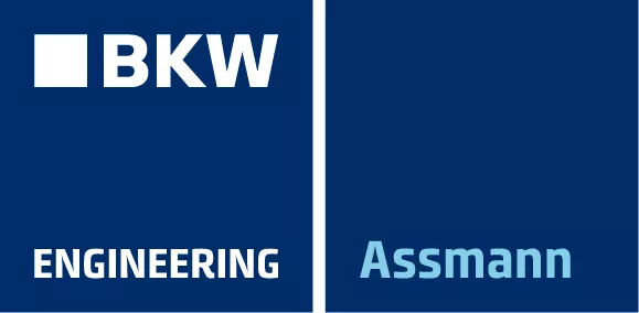 ASSMANN Logo