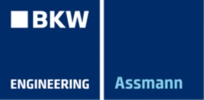 Assmann Logo