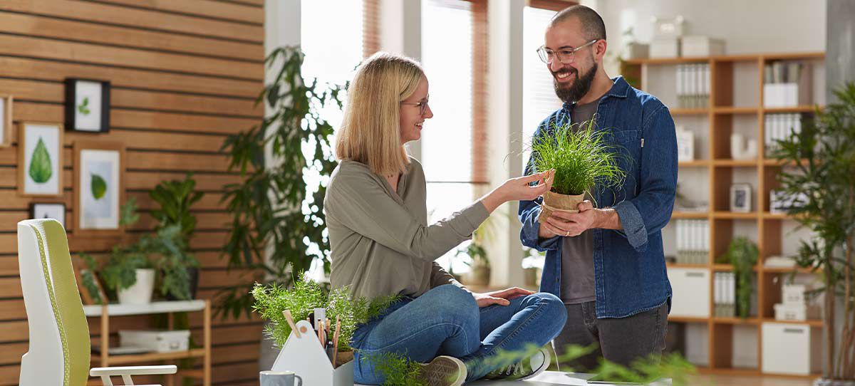 Eine Frau sitzt im Schneidersitz auf Ihrem Schreibtisch im Büro. Ihr Kollege zeigt ihr eine Zimmerpflanze. Beide lachen.