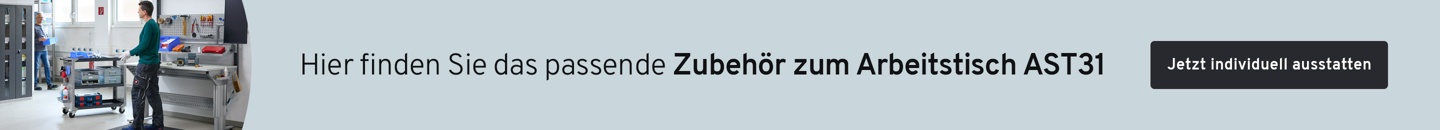 Zubehör AST31