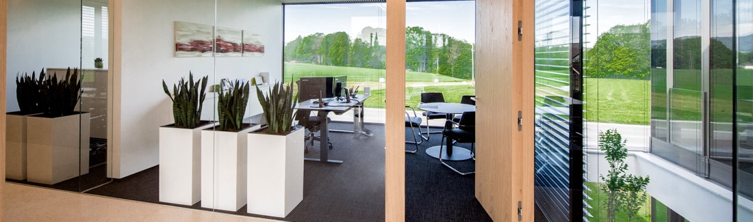 Helles Einzelbüro mit Schreibtisch, Besuchertisch, Glaswänden und Ausblick ins Grüne