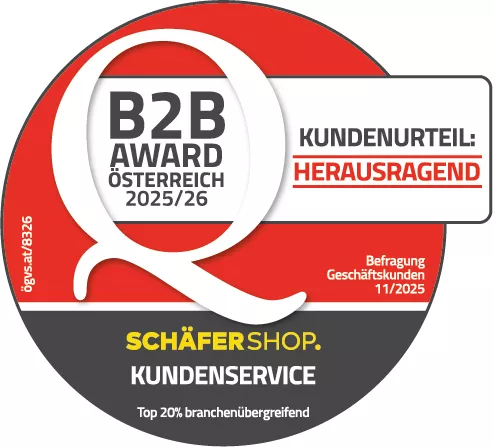 B2B Award Logo