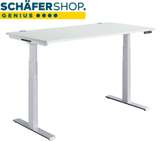 Schäfer Shop Genius MODENA FLEX escritorio, ajuste de altura legible, patas en T, ancho 1600 x fondo 800 mm, gris claro