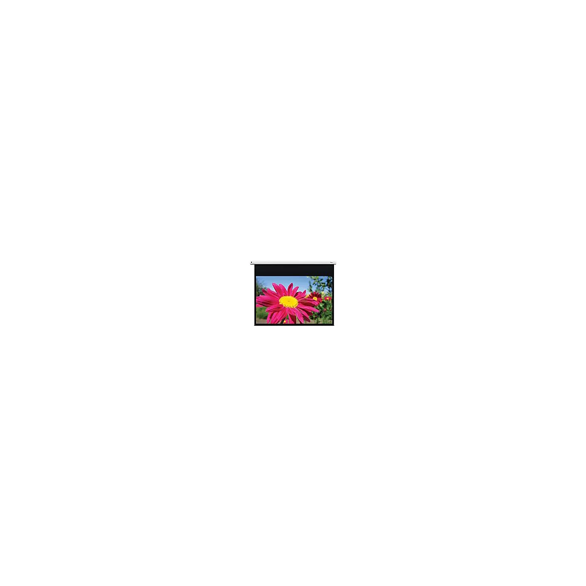 Leinwand, die ein farbenfrohes Blumenbild zeigt. Das Gehäuse ist weiß, der Bildschirm schwarz.