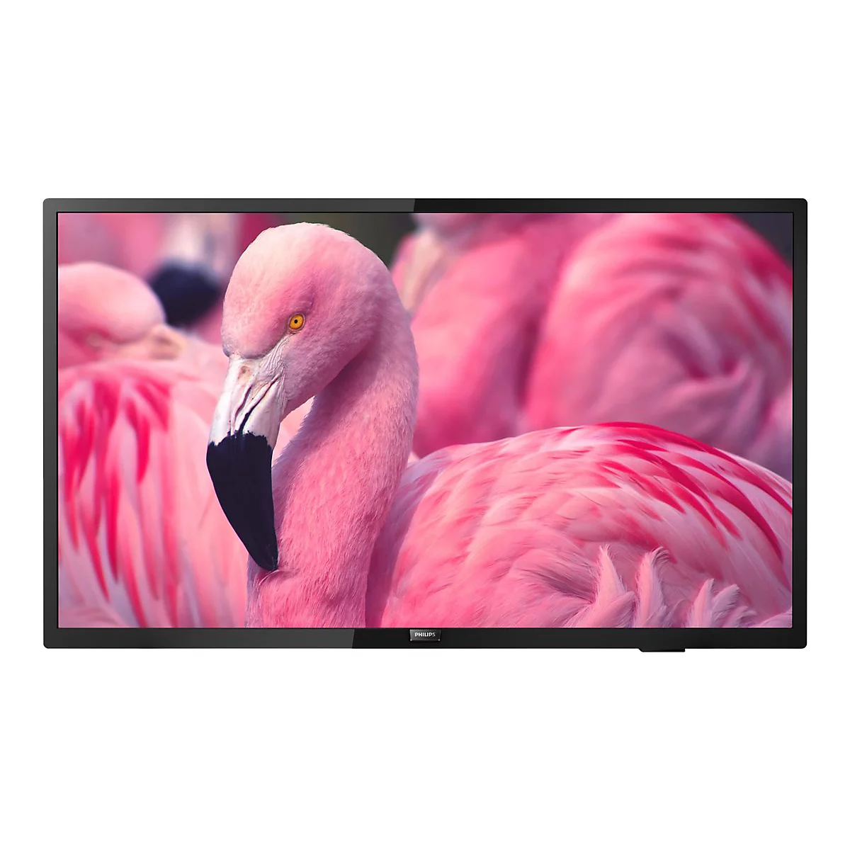 'Philips 32HFL4014 Professional PrimeSuite - 80 cm (32'') LCD-TV mit LED-Hintergrundbeleuchtung - HD - für Hotel/Gastgewerbe'