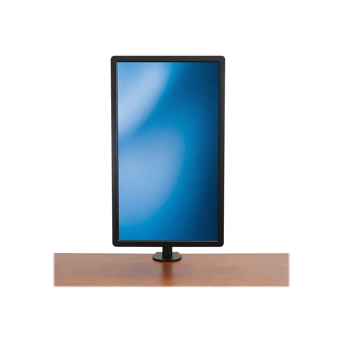 'StarTech.com Monitorhalterung für VESA kompatible Bildschirme bis zu 34'' und 8 kg - Gelenkige Halterung für einzelnen Monitor - höhenverstellbar mit Tischklemme/Durchführung - Schwarz (ARMPIVOTB) - verstellbarer Arm - für LCD-Display'