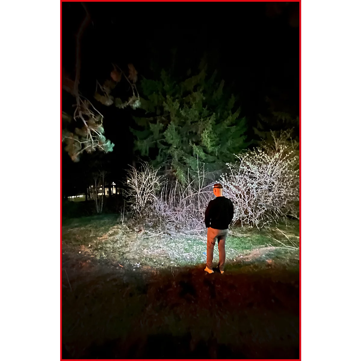 Eine Person steht nachts vor einem Baum. Die Bäume und Büsche sind im Scheinwerferlicht zu sehen.