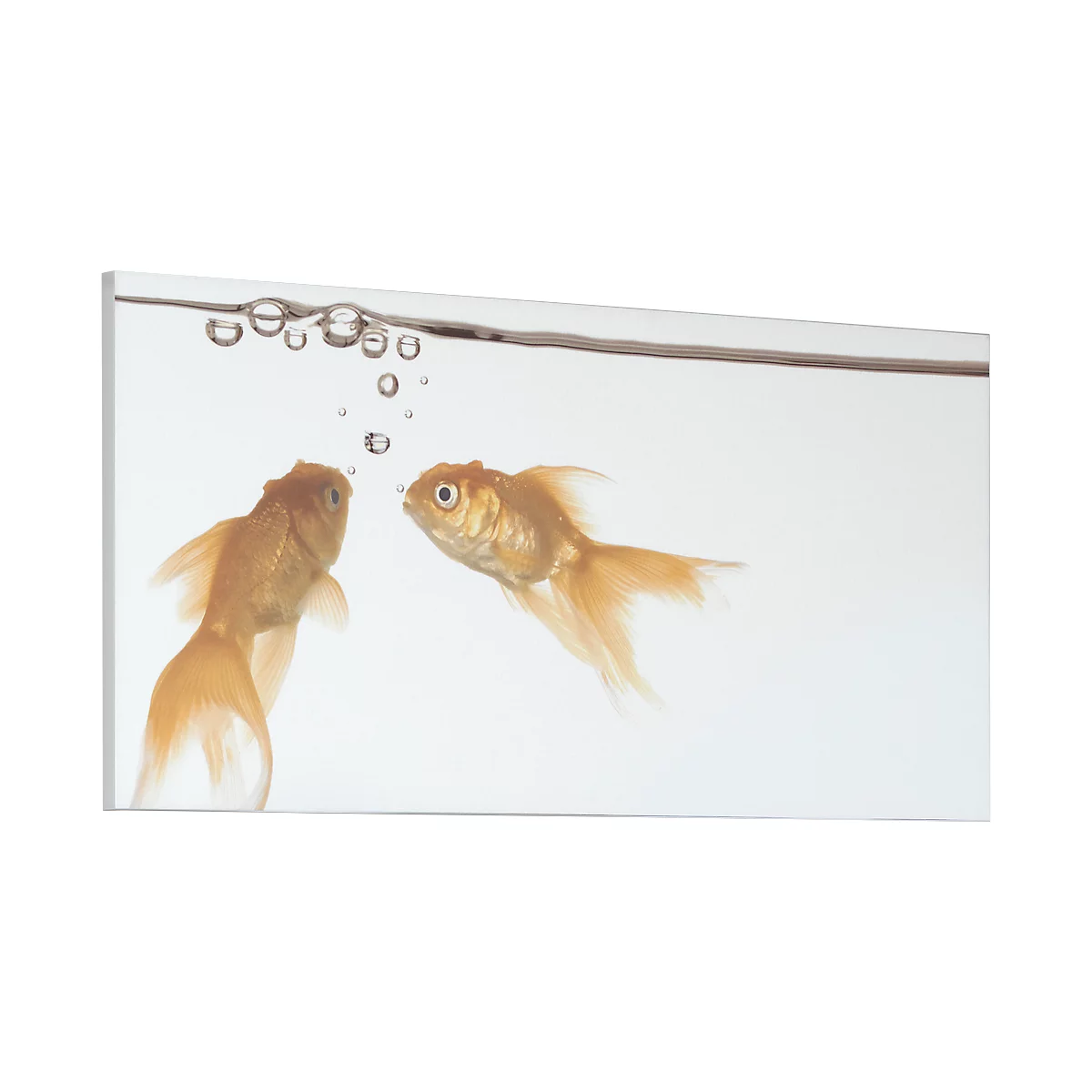 Two goldfish swimming in water, one looking at the other, above are air bubbles.