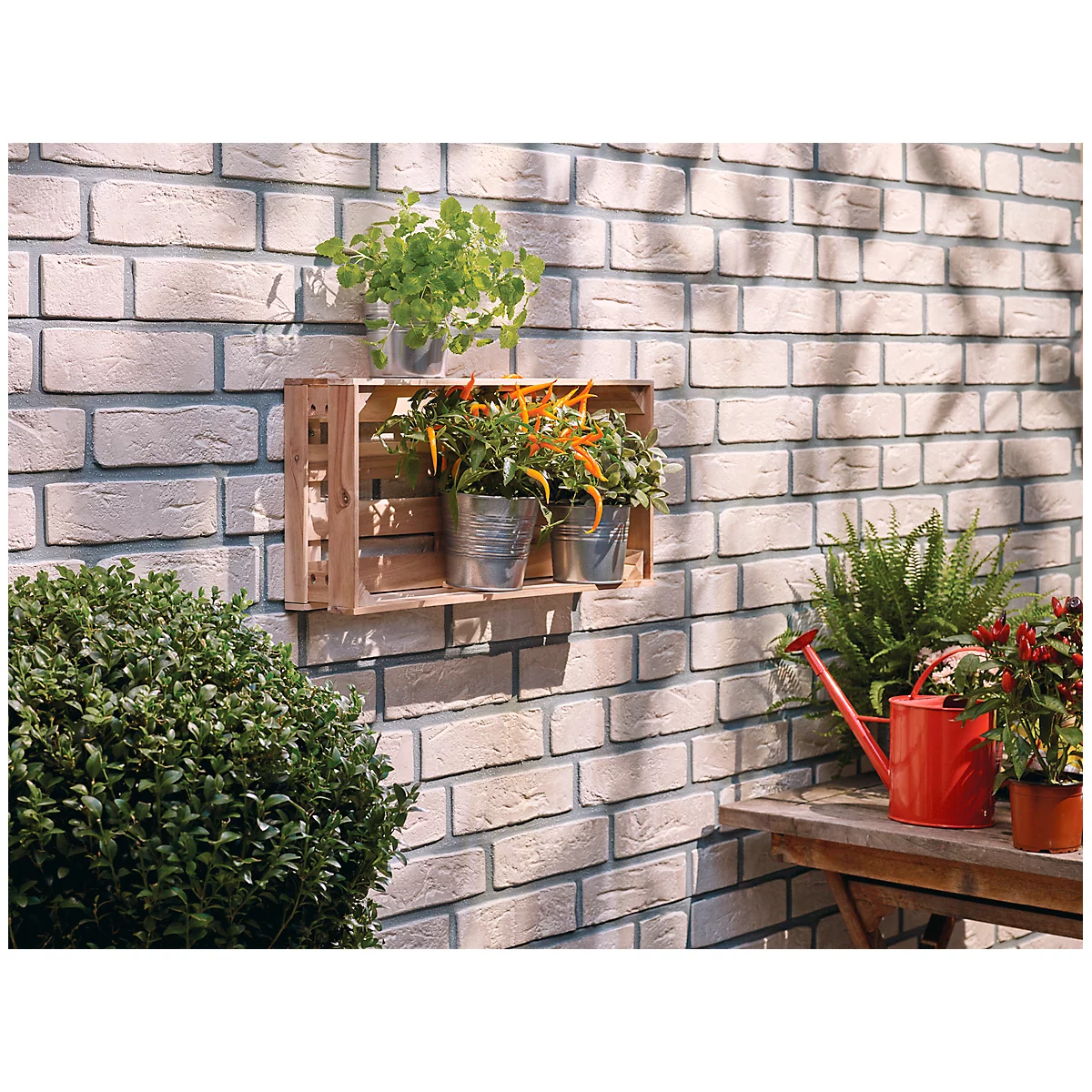Herb garden on brick wall with herbs and chillies in wooden crate and tin buckets.