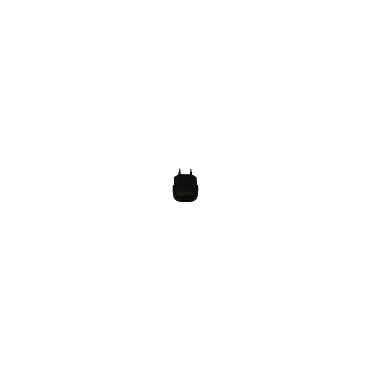 Schwarzer USB-Wandstecker mit EU-Steckerpins vor weißem Hintergrund.