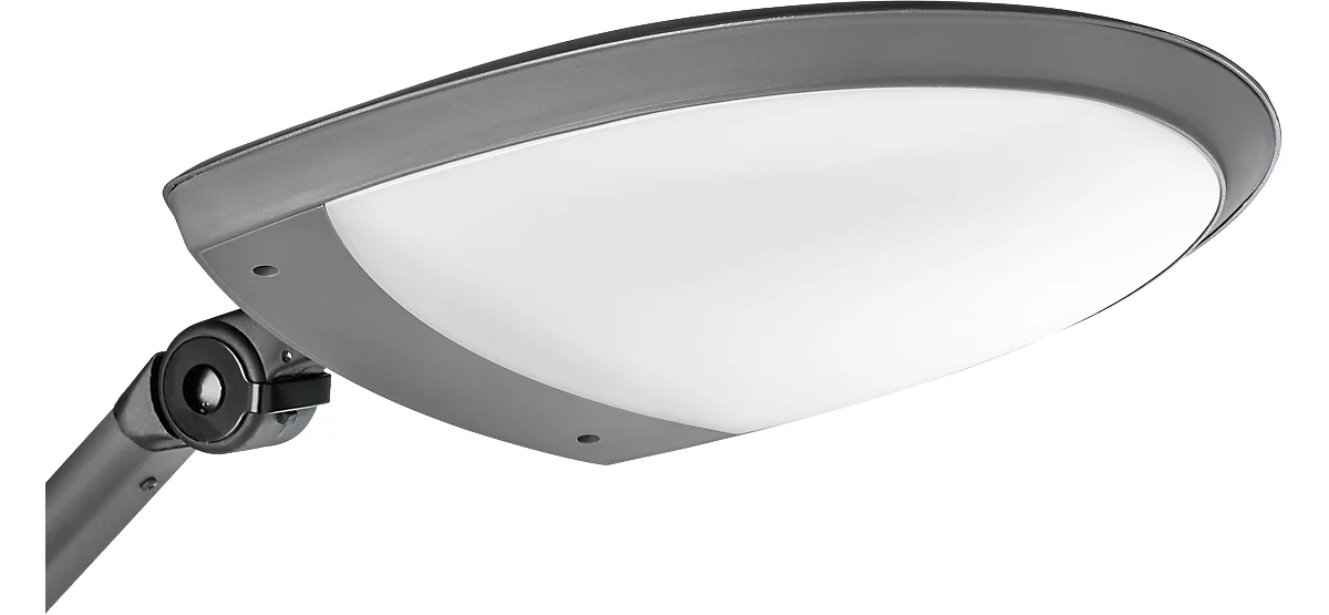 ALCO LED-Tischleuchte, satinierter Reflektor, Tischklemme bis 60 mm