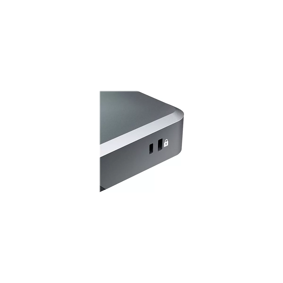 ALOGIC DX2 - Dockingstation - USB-C - 2 x DP - 1GbE - 100 Watt