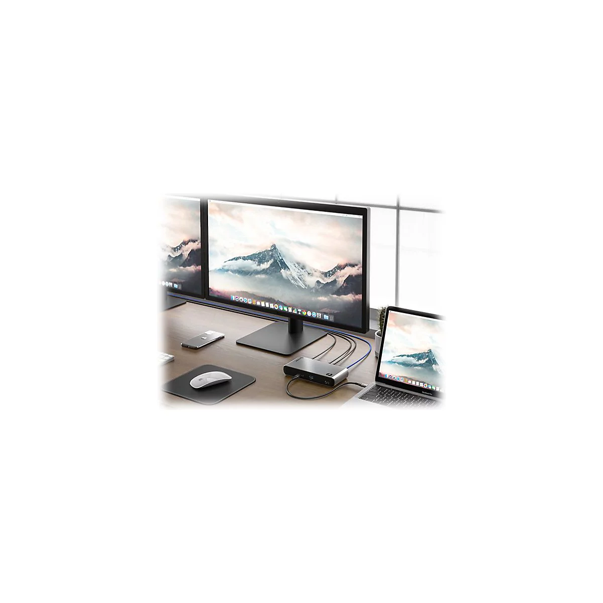 ALOGIC ThunderBolt 3.0 TURBO Docking Station with USB-C - Dockingstation - USB-C / Thunderbolt 3 - 2 x DP - 1GbE