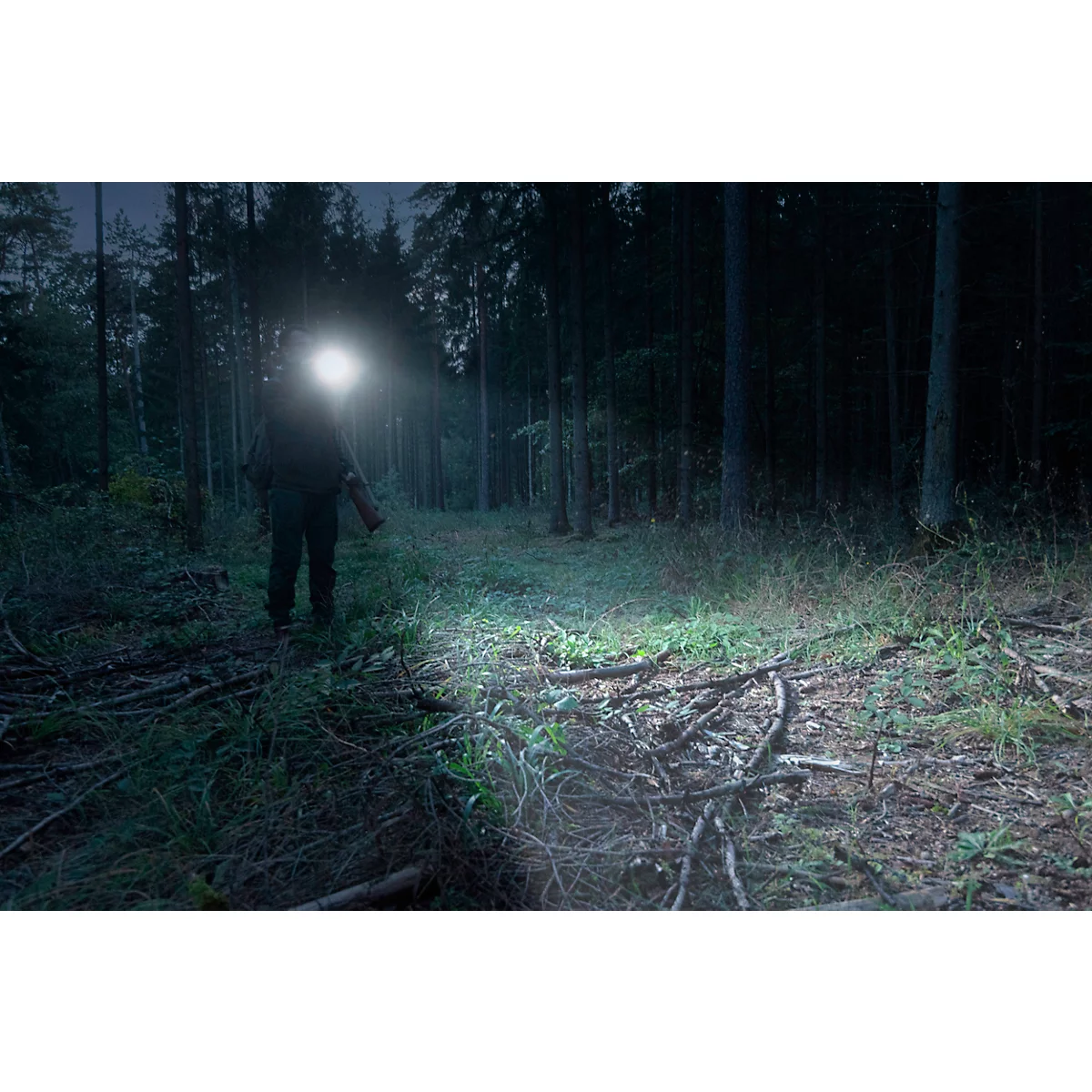 A person with a headlamp stands in a forest, illuminated by the lamp. The path is covered with roots and branches.