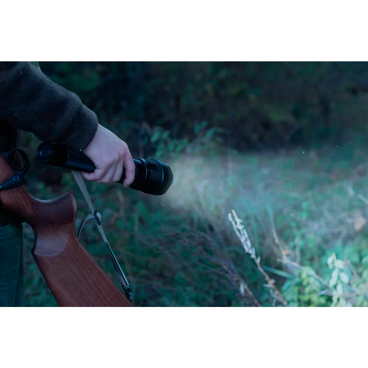 A person holds a flashlight and a rifle. The beam of the flashlight illuminates the undergrowth in the forest.