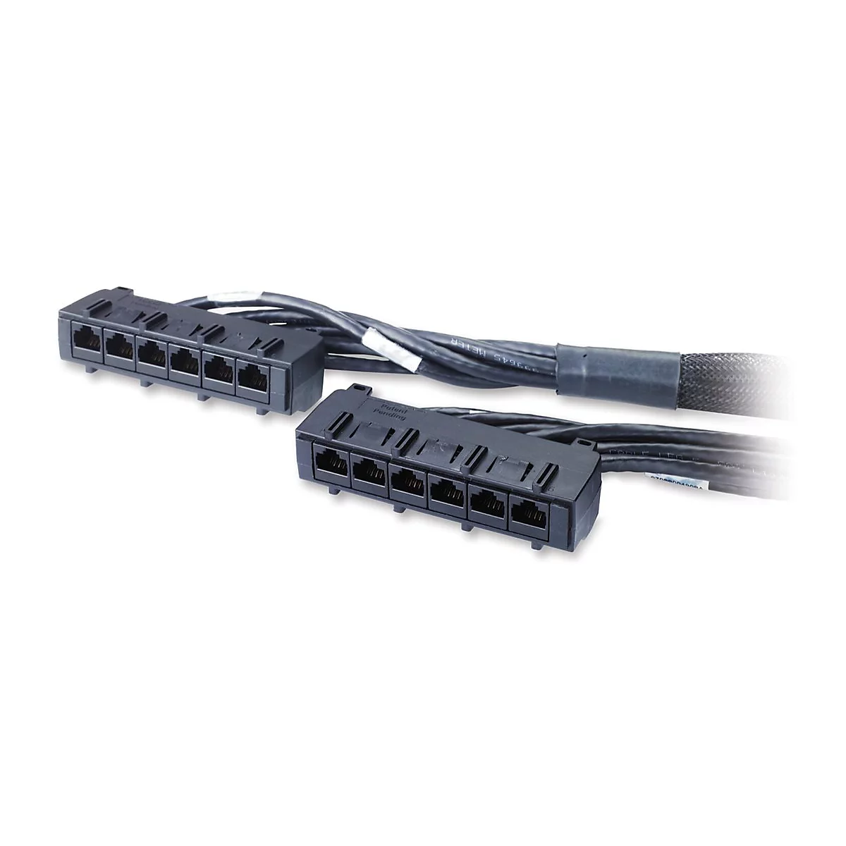 Zwei schwarze RJ45-Stecker mit Kabeln, im Detail. Auf einem Stecker steht 'Patent Pending'.