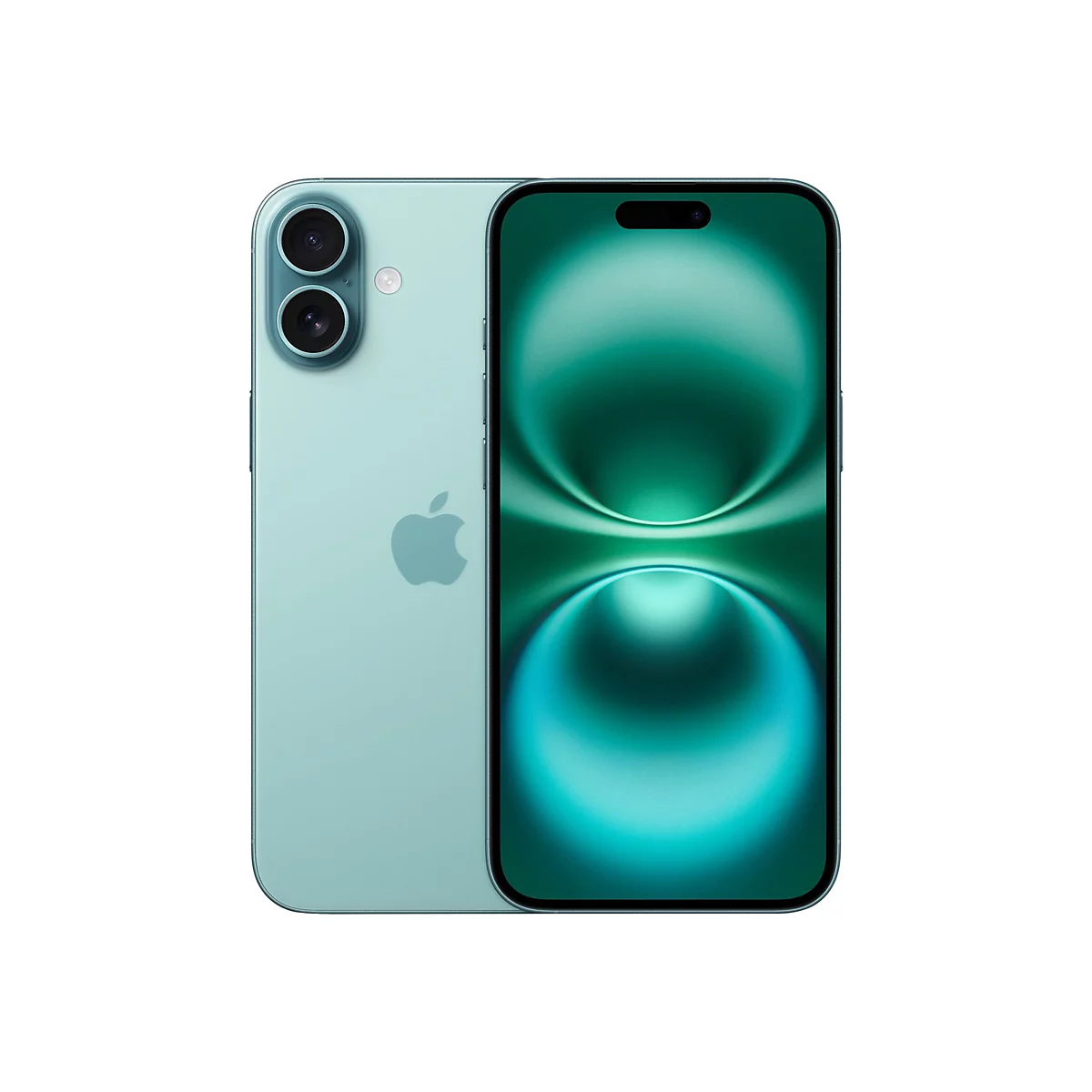 Hellblaues Smartphone von hinten und vorne. Rückseite mit Kameras, Apple-Logo. Vorderseite mit grüner Animation. 
