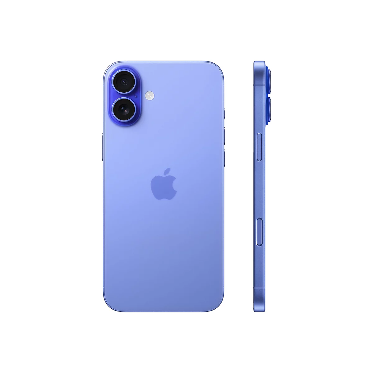 Ein lilafarbenes Smartphone, von der Rückseite und der Seite dargestellt. Auf der Rückseite sind zwei Kameras und ein Apple-Logo zu sehen.