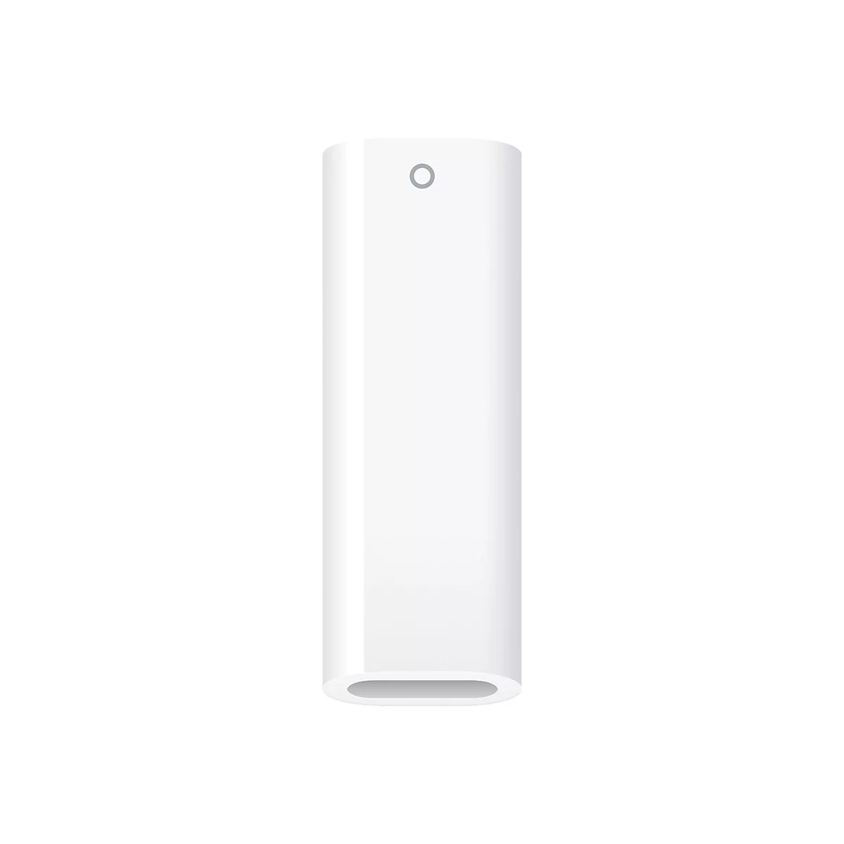 Apple - Lightning Adapter - 24 pin USB-C weiblich zu Lightning weiblich - für 10.9-inch iPad (10. Generation)