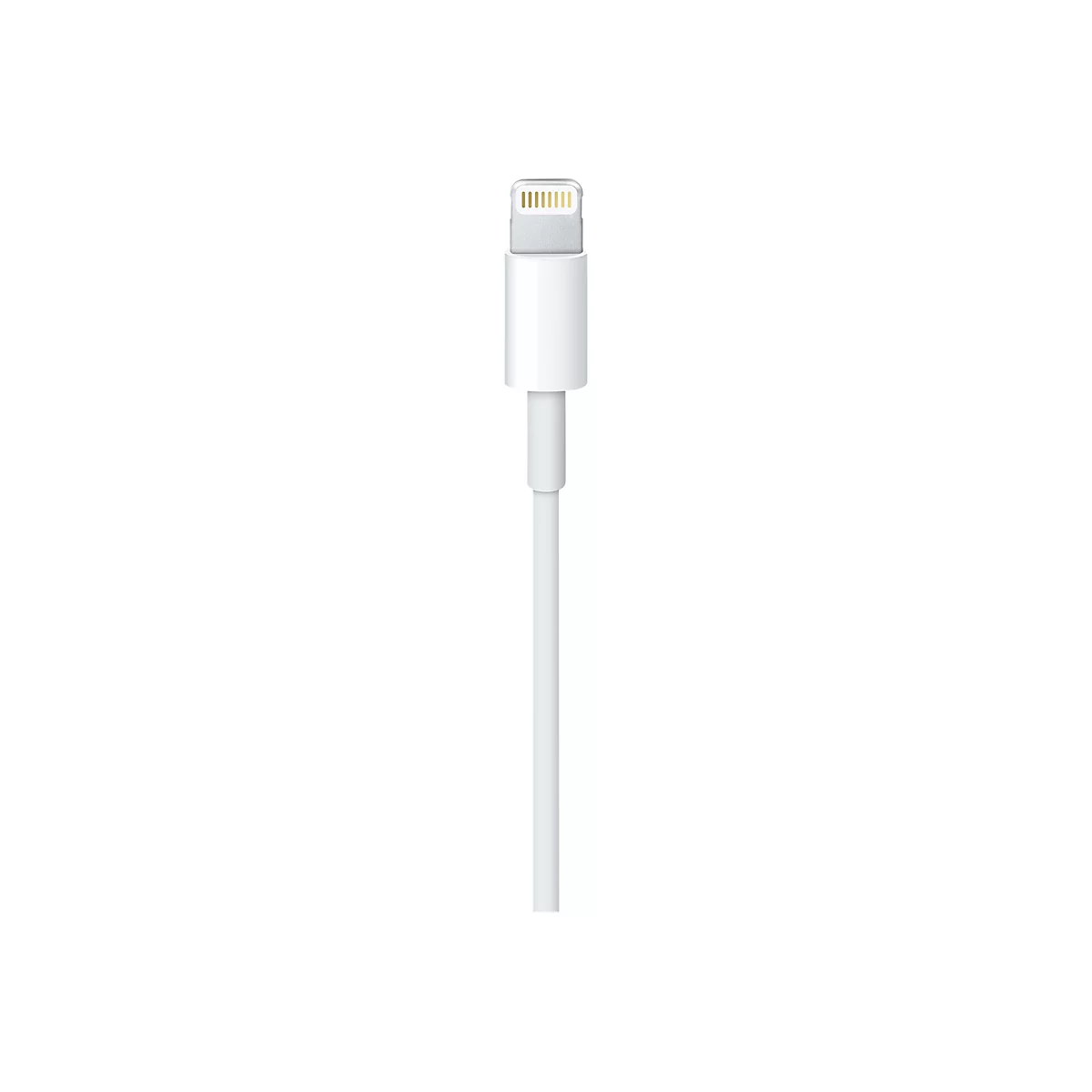 Nahaufnahme eines weißen Lightning-Steckers an einem Kabel vor weißem Hintergrund.