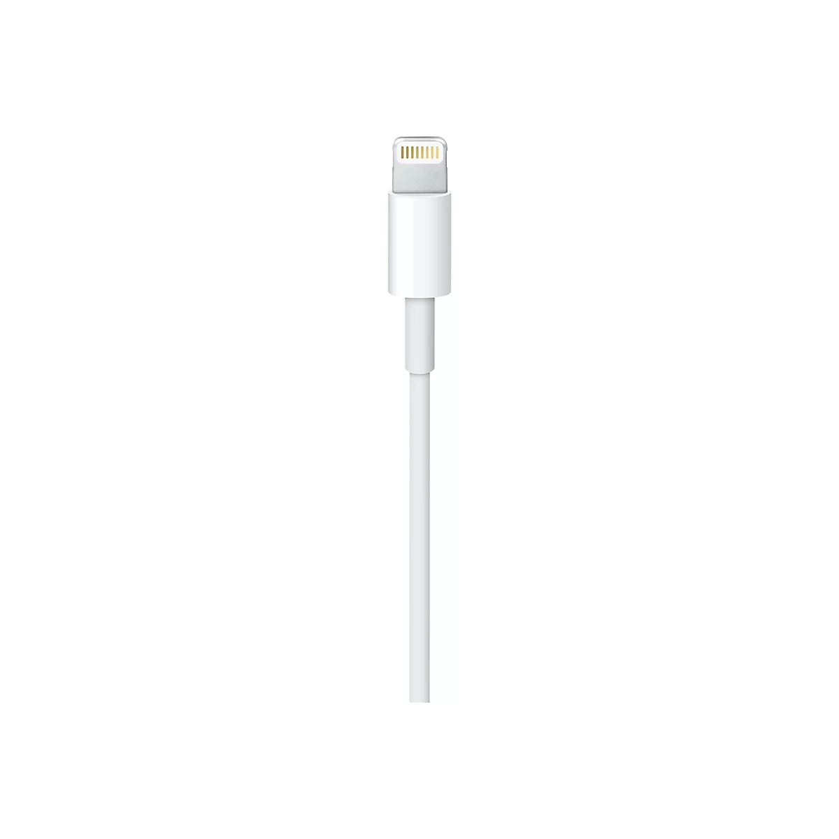 Nahaufnahme eines weißen Lightning-Steckers an einem Kabel vor weißem Hintergrund.