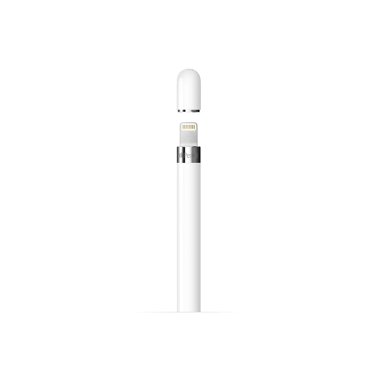 Apple Pencil blanc avec le capuchon retiré. Connecteur Lightning et le mot "Pencil" visibles.