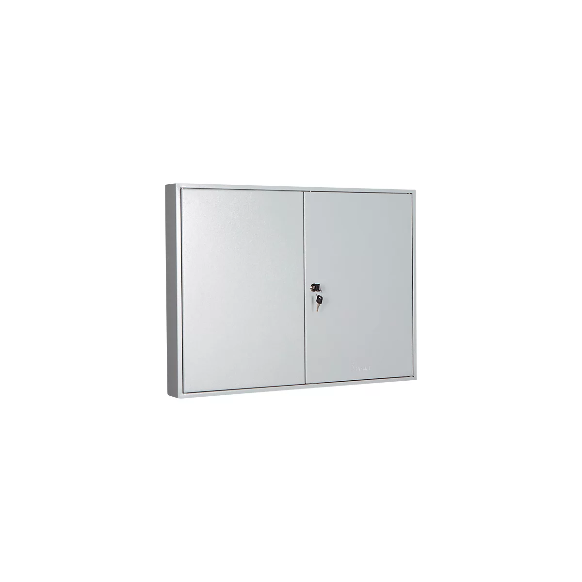 Armoire à clés, double porte, l. 730 x P 80 x H 550 mm, pour 100 clés