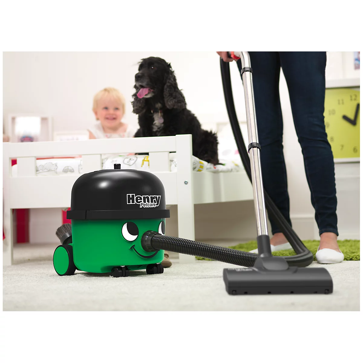 Aspirateur HENRY Petcare, 620 W, volume 6 L, filtre à air durable, avec 2 buses spéciales, vert