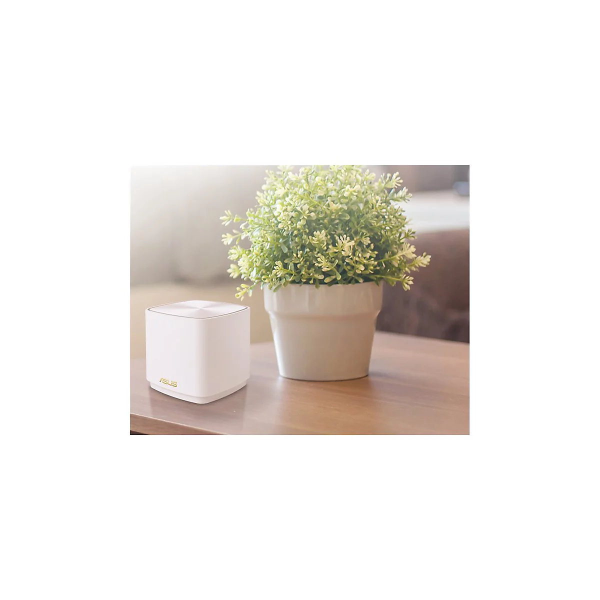 WeiÃŸer WLAN-Router mit goldenem ASUS-Logo neben einem Topf mit grÃ¼nen Pflanzen auf einem Holztisch.
