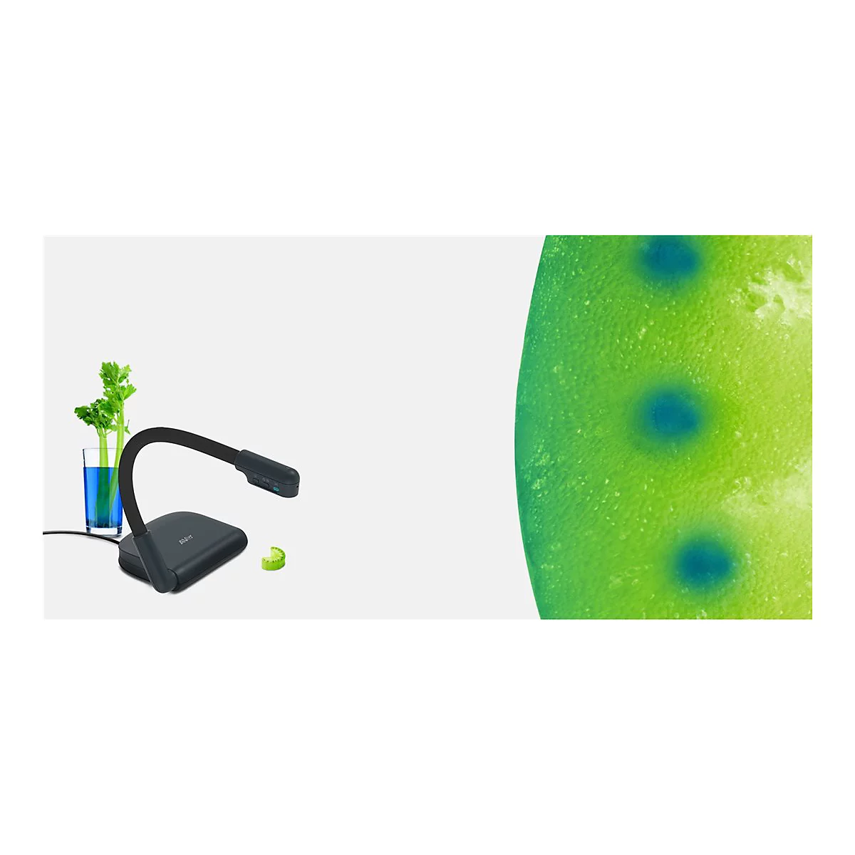 AVer AVerVision U70i - Digitale Dokumentenkamera - Farbe - 13.000.000 Pixel - 3840 x 2160 - Audio