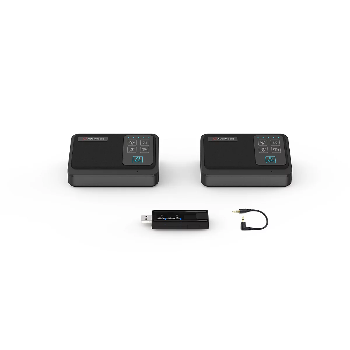 Zwei schwarze AVerMedia Mikrofon-Einheiten, ein USB-Dongle und ein Audiokabel auf weißem Hintergrund.