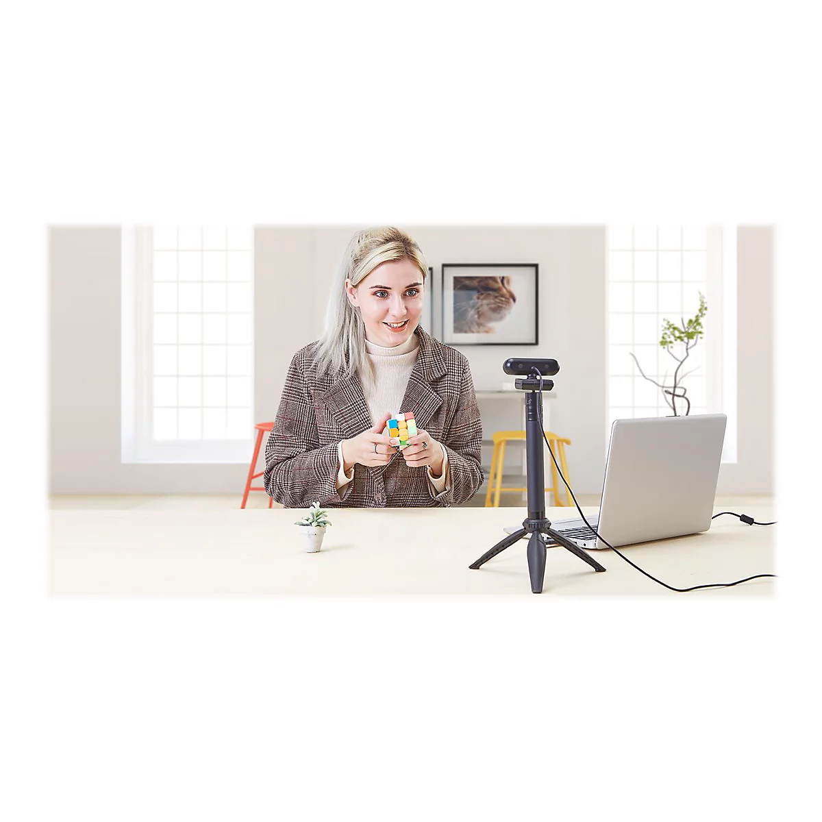 AVerMedia PW310P - Webcam
