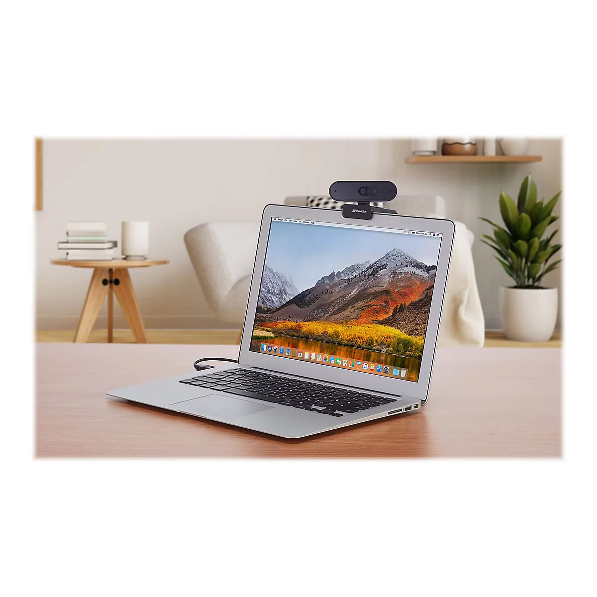 AVerMedia PW310P - Webcam