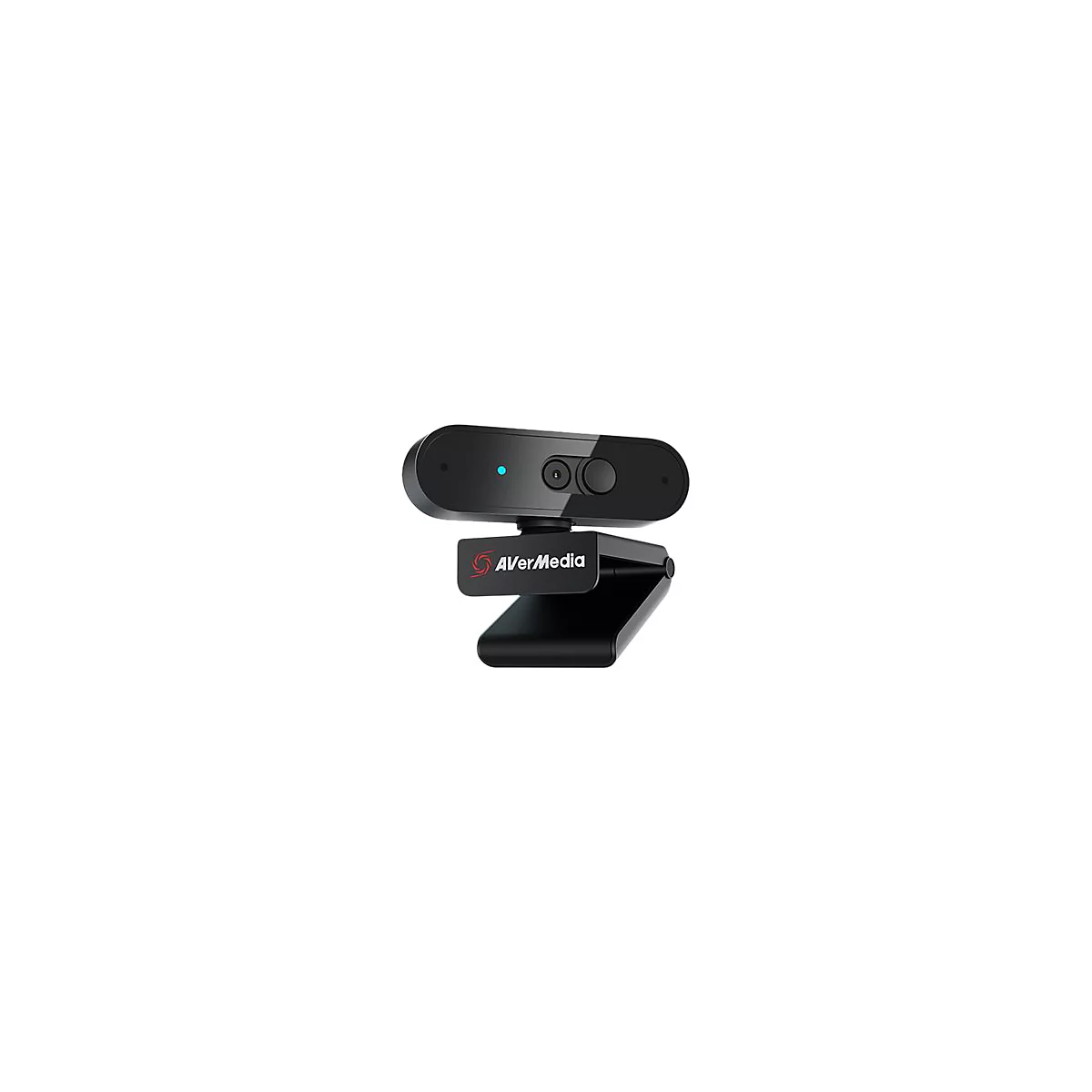 AVerMedia PW310P - Webcam
