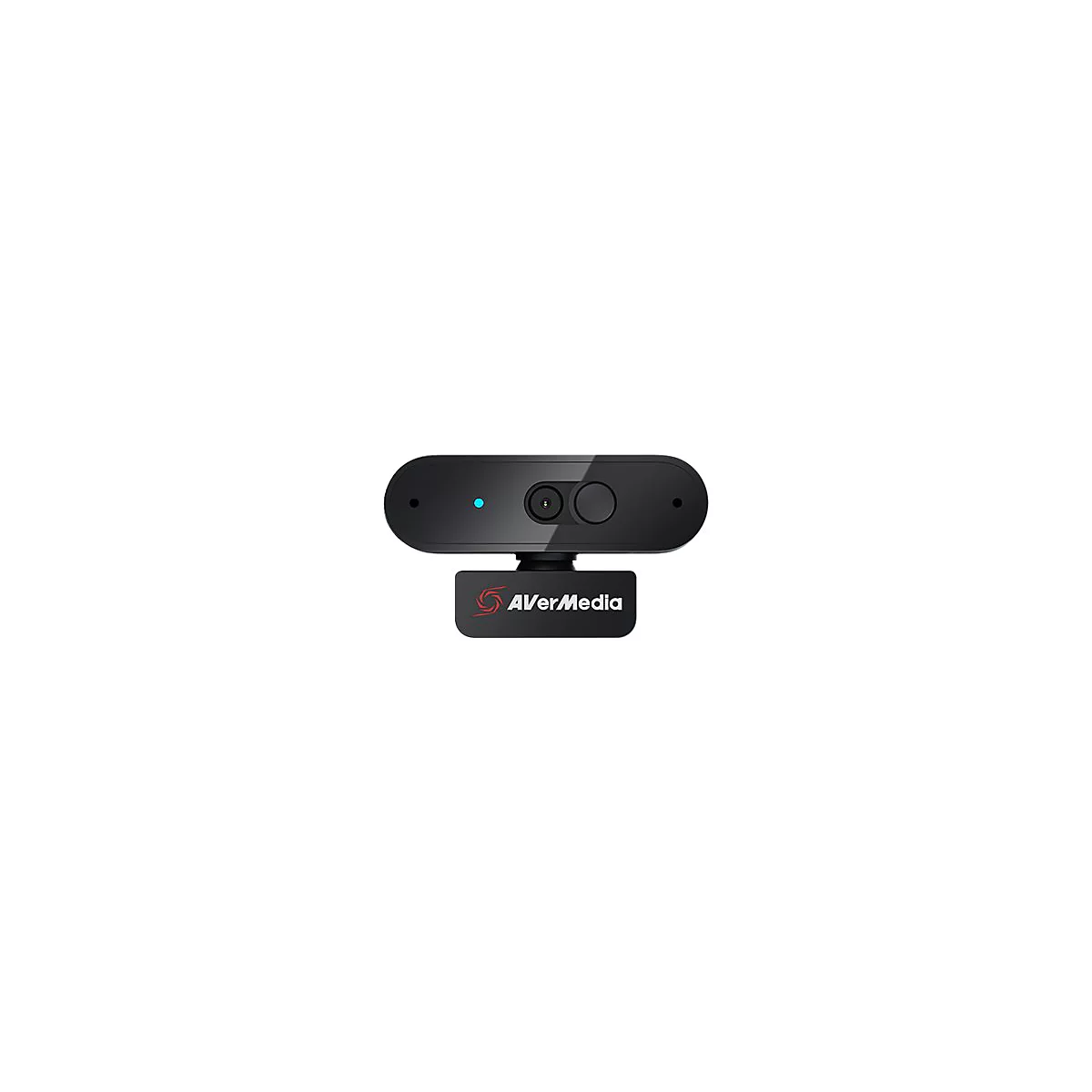 AVerMedia PW310P - Webcam